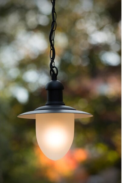 Lucide 11872/01/30 - Venkovní závěsné svítidlo ARUBA 1xE27/60W/230V IP44