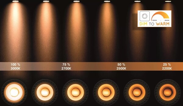 Lucide 23954/11/31 - LED Bodové svítidlo XYRUS 2xGU10/5W/230V bílá