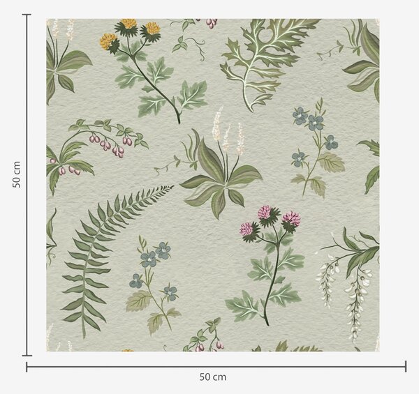 Tapety Botanické trávy a kapradiny na světle šedozeleném podkladu, Tapety květiny, a00498 : uwalls.cz