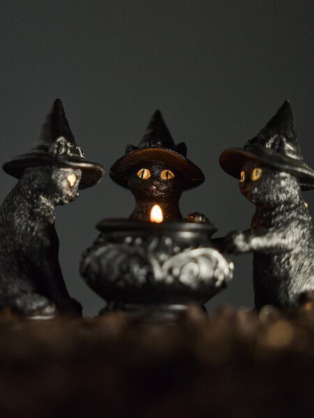 Sinsay - Halloweenový svícen na čajovou svíčku ve tvaru koček s kotlíkem - černá