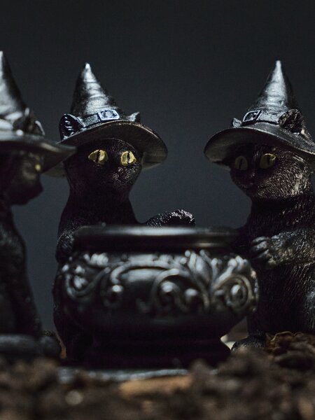 Sinsay - Halloweenový svícen na čajovou svíčku ve tvaru koček s kotlíkem - černá