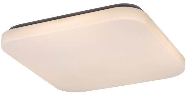 Rabalux 3344 - LED Stropní svítidlo ROB LED/32W/230V
