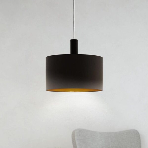 Eglo 97682 - Lustr na lanku CONCESSA 1 1xE27/60W/230V 380 mm