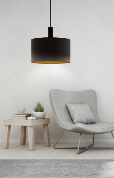 Eglo 97682 - Lustr na lanku CONCESSA 1 1xE27/60W/230V 380 mm