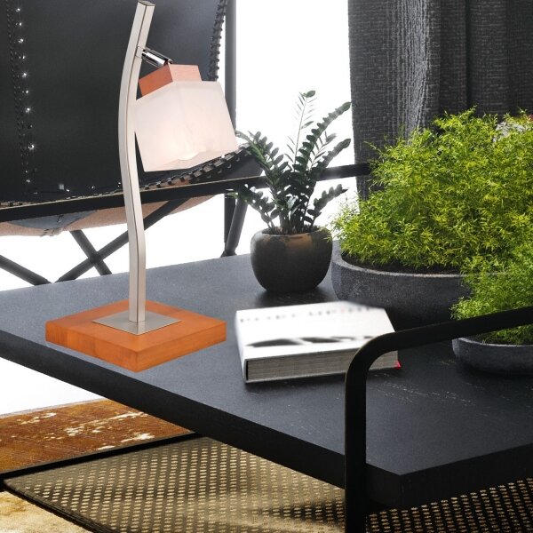 Stolní lampa DANA 1xE14/40W/230V