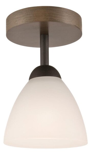 Přisazený lustr ADRIANO 1xE27/60W/230V