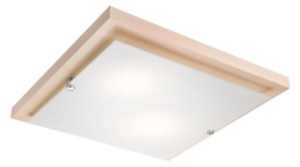 Stropní svítidlo 2xE27/60W/230V