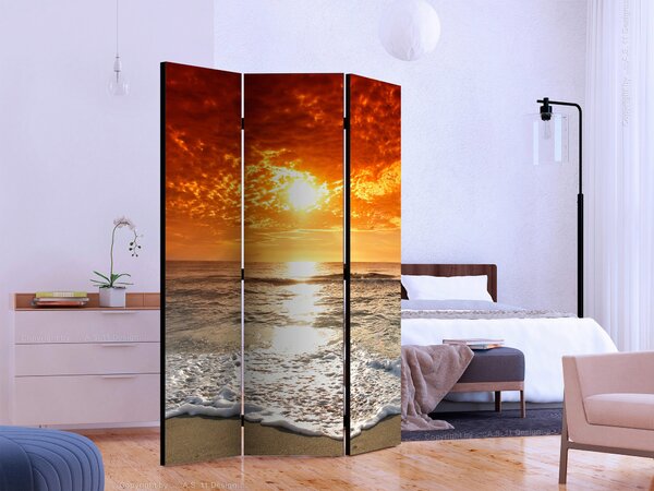 PARAVÁN, 135/172/3 cm artgeist, Online Only