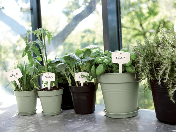 Podmiska Green Basics 34 cm, šedozelená