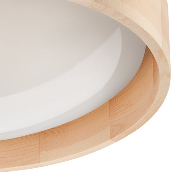 Brilagi - LED Stmívatelné stropní svítidlo MANAROLA LED/24W/230V + DO