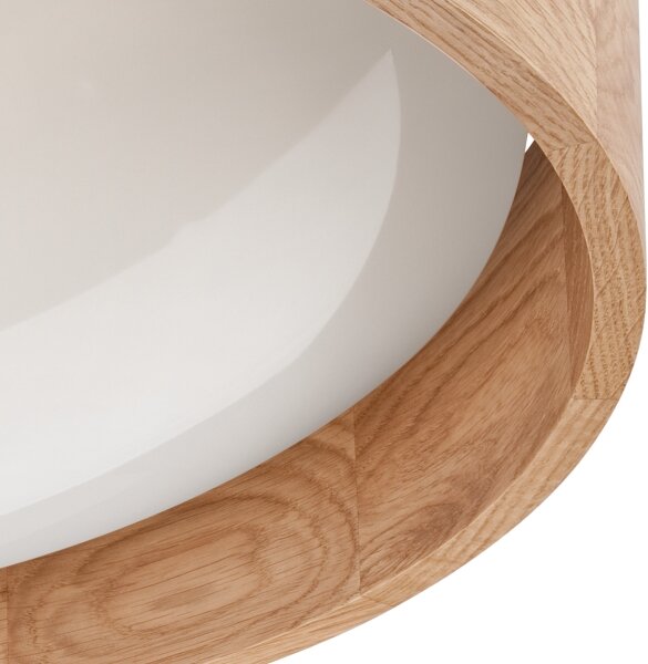 Brilagi - LED Stmívatelné stropní svítidlo MANAROLA LED/24W/230V dub + DO