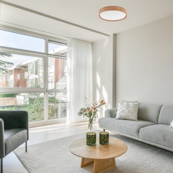 Brilagi - LED Stropní svítidlo MANAROLA SMART LED/24W/230V + DO Tuya