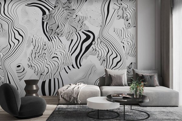 Fototapety abstraktní organické tvary ve 3D stylu v bílé a šedé barvě s černými pruhy, Fototapety abstraktní, w04627 : uwalls.cz