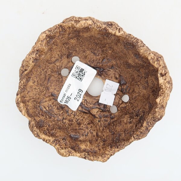 E-bonsai Keramická Skořápka 10 x 9,5 x 8 cm hnědá