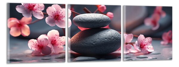 Moderní obraz Kameny a růžové květy