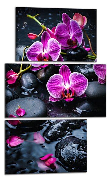 Moderní obraz Fialové orchideje na kamenech