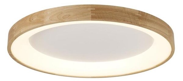 Azzardo AZ2698 - LED Stropní svítidlo SILVAM LED/50W/230V