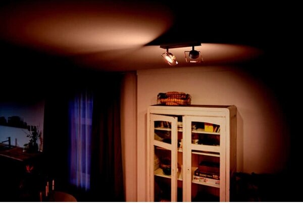 Philips 50482/17/PO - LED Bodové svítidlo GOLYGON 2xLED/4,5W/230V
