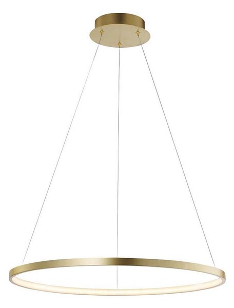 Leuchten Direkt 11524-12 - LED Lustr na lanku CIRCLE LED/28,5W/230V