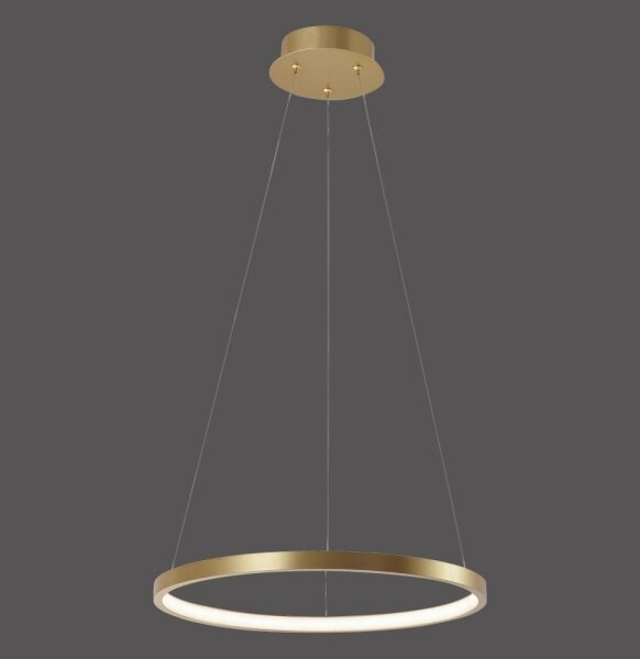 Leuchten Direkt 11522-12 - LED Lustr na lanku CIRCLE LED/19W/230V