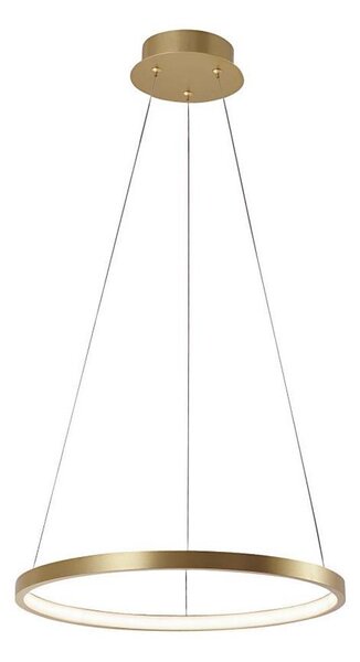 Leuchten Direkt 11522-12 - LED Lustr na lanku CIRCLE LED/19W/230V