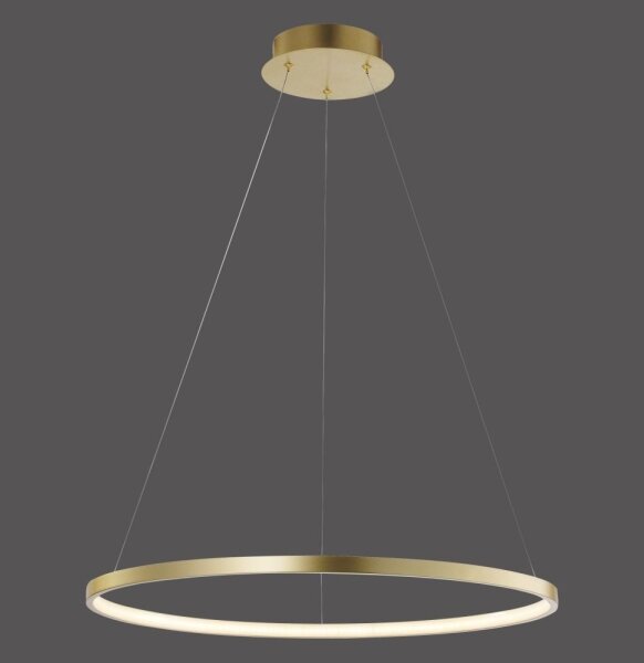 Leuchten Direkt 11524-12 - LED Lustr na lanku CIRCLE LED/28,5W/230V