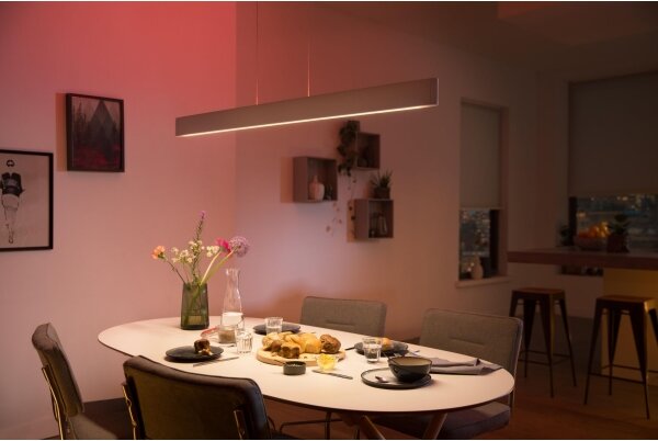 Philips 40903/31/P9-LED RGBW Stmívatelný lustr na lanku Hue ENSIS 2xLED/39W/230V