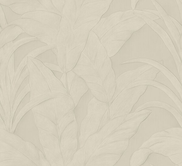 Tapeta 75002, Monsoon Musa, Arte