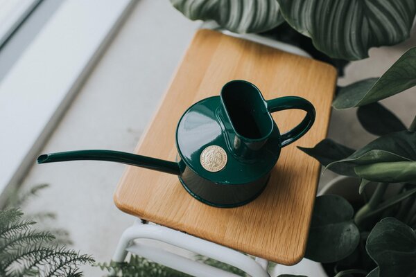 Konvička na zalévání Fazeley Flow Green – 600 ml