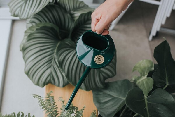 Konvička na zalévání Fazeley Flow Green – 600 ml