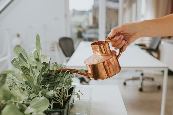 Konvička na zalévání Fazeley Flow Copper – 600 ml