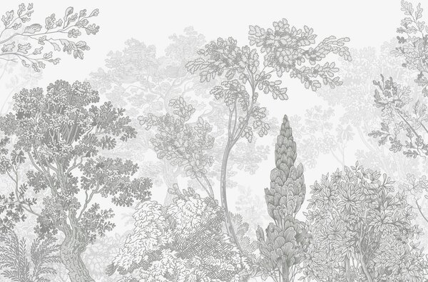 Fototapety Stromy, Fototapety příroda, w04851v3 : uwalls.cz