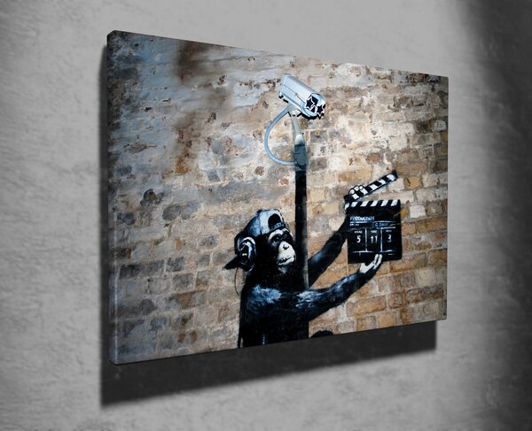 ASIR Nástěnný obraz CHIMP plátno 50 x 70 cm