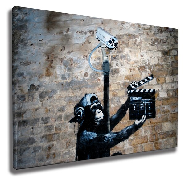 ASIR Nástěnný obraz CHIMP plátno 50 x 70 cm