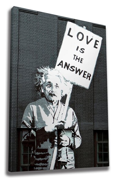 ASIR Nástěnný obraz EINSTEIN plátno 50 x 70 cm