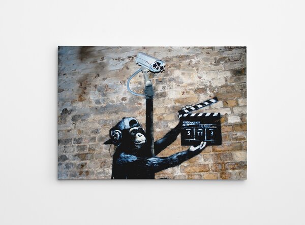 ASIR Nástěnný obraz CHIMP plátno 50 x 70 cm