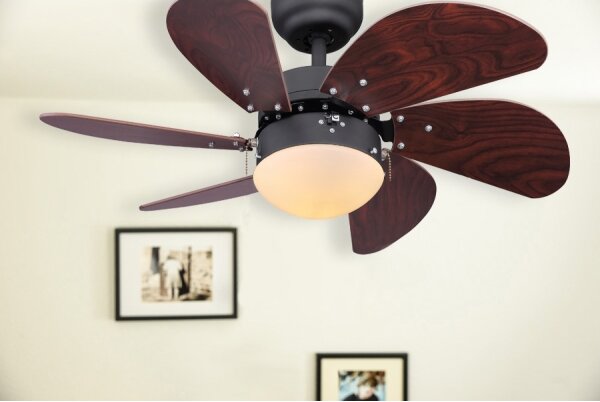 Globo 03800 - Stropní ventilátor RIVALDO 1xE14/60W/230V
