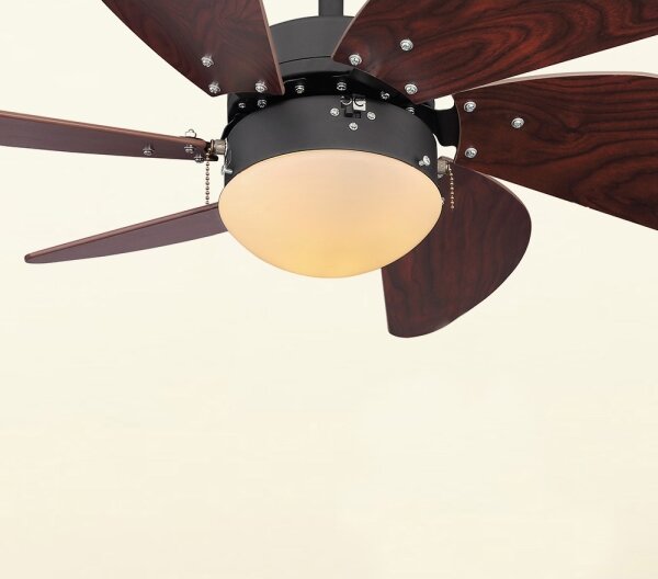 Globo 03800 - Stropní ventilátor RIVALDO 1xE14/60W/230V