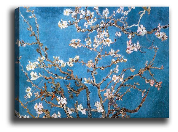 ASIR Nástěnný obraz CHERRY plátno 70 x 100 cm
