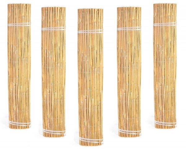 Bambusová zástěna 1,2 x 3 metrů Bluegarden Lisa