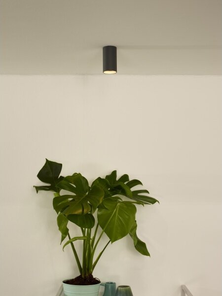 Lucide 09915/06/36 - LED Stmívatelné bodové svítidlo DELTO 1xGU10/5W/230V šedá