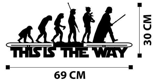 ASIR Nástěnná dekorace STAR WARS černá kov