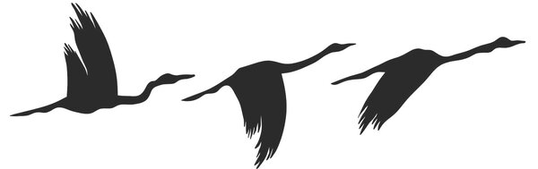 ASIR Nástěnná dekorace BIRDS kov černá