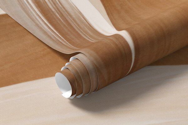 Fototapety Abstraktní texturované peří v hnědé, bílé a šedé barvě a různých odstínech, překrývající se na, Fototapety abstraktní, w09531 : uwalls.cz