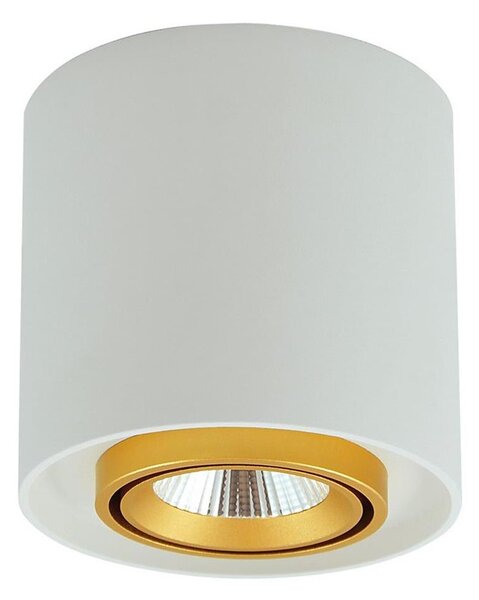 LED Bodové svítidlo XENO LED/15W/230V bílá 1200lm