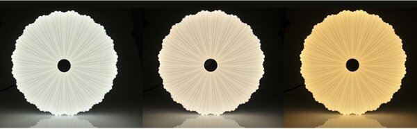 LED Stmívatelné stropní svítidlo FLOWER LED/36W/230V + DO