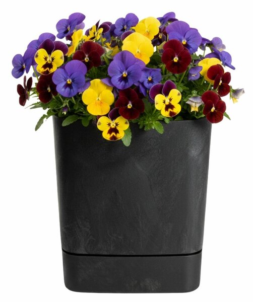PLASTOVÝ KVĚTINÁČ CUBI 25X27,5 CM IMITACE BETONU ČERNÁ