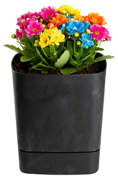 PLASTOVÝ KVĚTINÁČ CUBI 19X21 CM IMITACE BETONU ČERNÁ