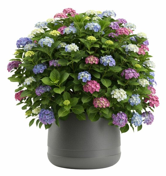 PLASTOVÝ KVĚTINÁČ LUNA VASE 42X32 CM ANTRACITOVÁ