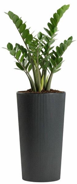 PLASTOVÝ KVĚTINÁČ URBANIKA ECO 46,5X25,5 CM ANTRACITOVÁ